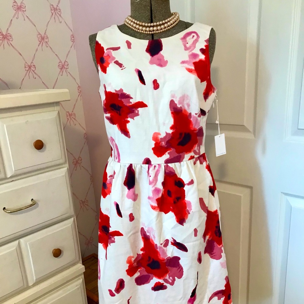 Darling floral NWT Dalia dress with trim flare style.